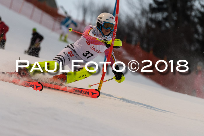 FIS NJC Alpine Kombi Damen + Herren 13.01.2018