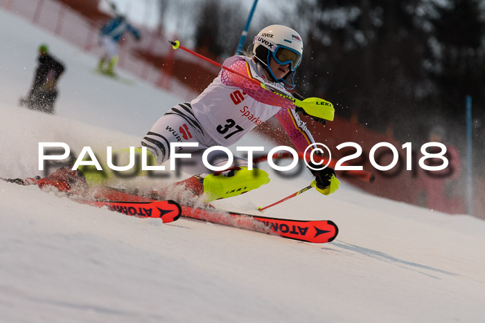 FIS NJC Alpine Kombi Damen + Herren 13.01.2018