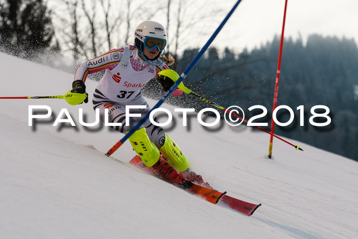 FIS NJC Alpine Kombi Damen + Herren 13.01.2018