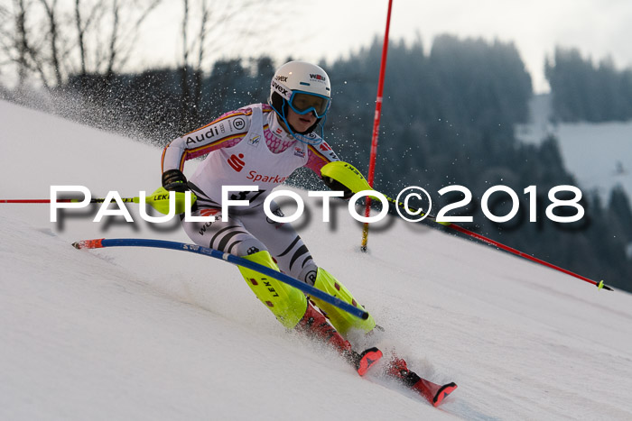 FIS NJC Alpine Kombi Damen + Herren 13.01.2018