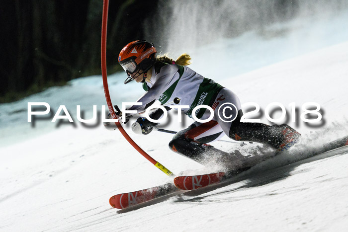 FIS NJC Alpine Kombi Damen + Herren 13.01.2018