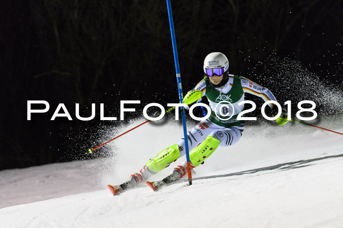 FIS NJC Alpine Kombi Damen + Herren 13.01.2018
