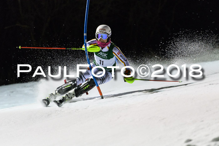 FIS NJC Alpine Kombi Damen + Herren 13.01.2018