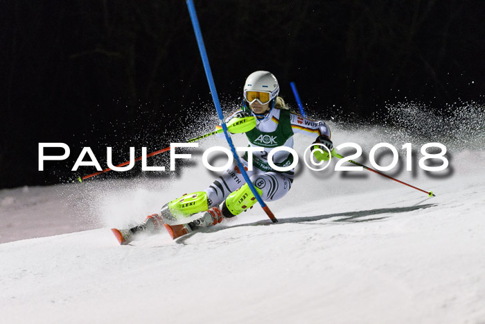 FIS NJC Alpine Kombi Damen + Herren 13.01.2018
