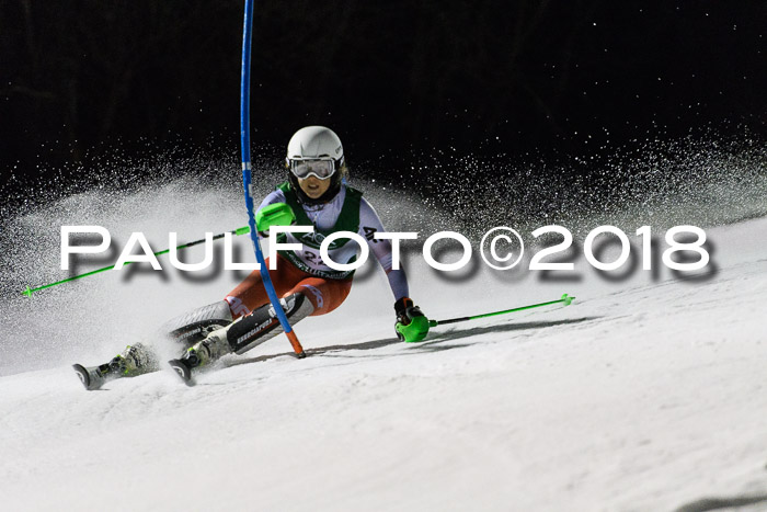 FIS NJC Alpine Kombi Damen + Herren 13.01.2018