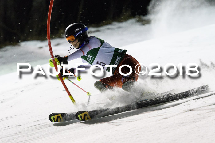 FIS NJC Alpine Kombi Damen + Herren 13.01.2018