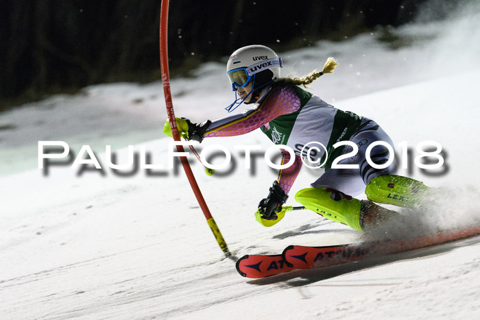 FIS NJC Alpine Kombi Damen + Herren 13.01.2018