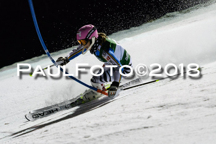 FIS NJC Alpine Kombi Damen + Herren 13.01.2018