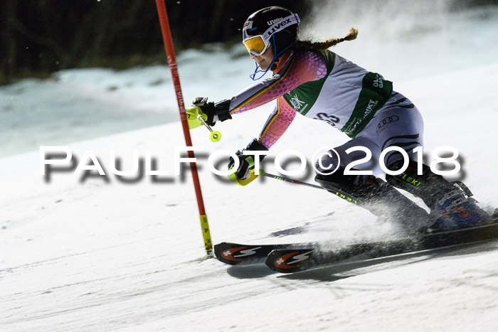 FIS NJC Alpine Kombi Damen + Herren 13.01.2018