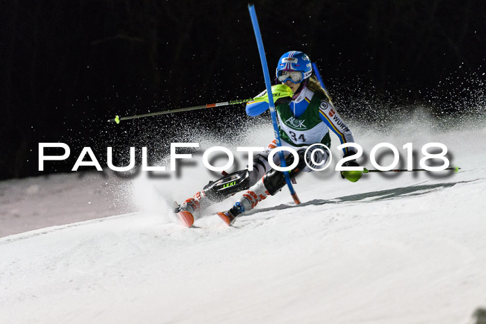 FIS NJC Alpine Kombi Damen + Herren 13.01.2018