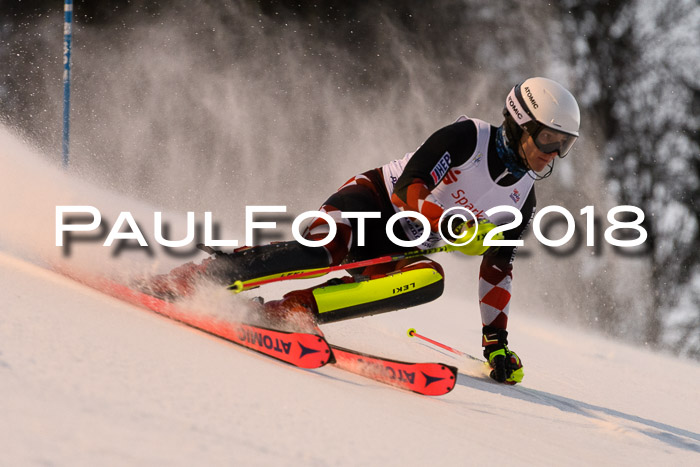 FIS NJC Alpine Kombi Damen + Herren 13.01.2018