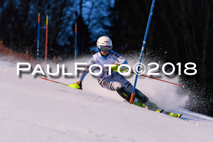 FIS NJC Alpine Kombi Damen + Herren 13.01.2018