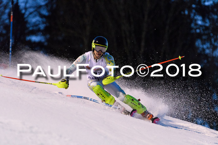 FIS NJC Alpine Kombi Damen + Herren 13.01.2018