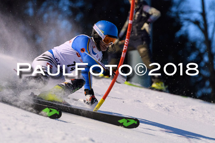 FIS NJC Alpine Kombi Damen + Herren 13.01.2018