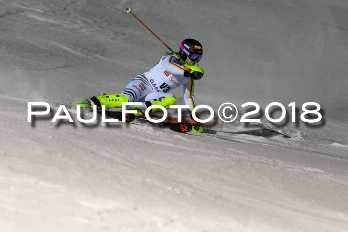 FIS NJC Alpine Kombi Damen + Herren 13.01.2018