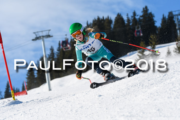 Sechzger und Kids Pokal VRS 13.01.2018