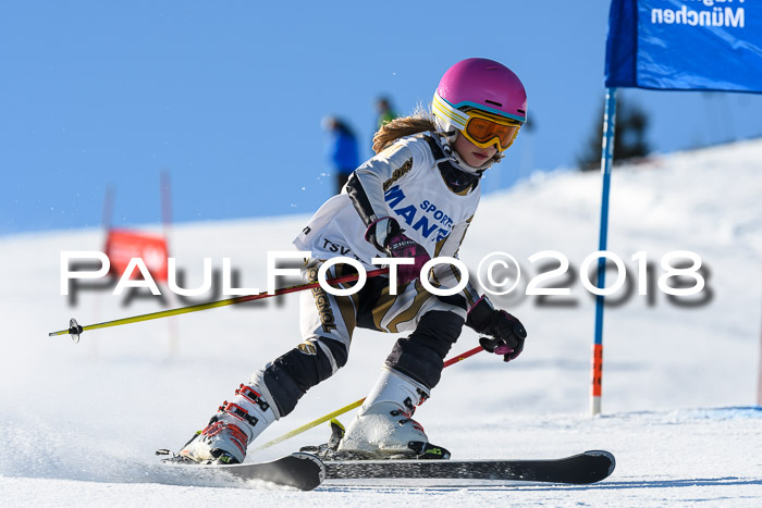 Sechzger und Kids Pokal VRS 13.01.2018