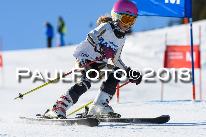 Sechzger und Kids Pokal VRS 13.01.2018