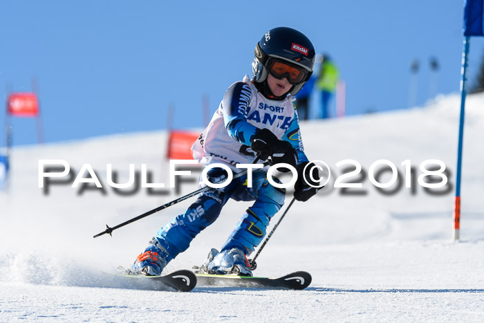 Sechzger und Kids Pokal VRS 13.01.2018