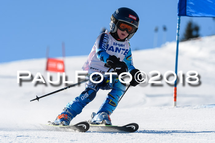 Sechzger und Kids Pokal VRS 13.01.2018