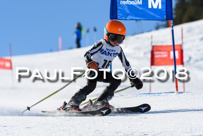 Sechzger und Kids Pokal VRS 13.01.2018