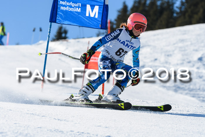 Sechzger und Kids Pokal VRS 13.01.2018