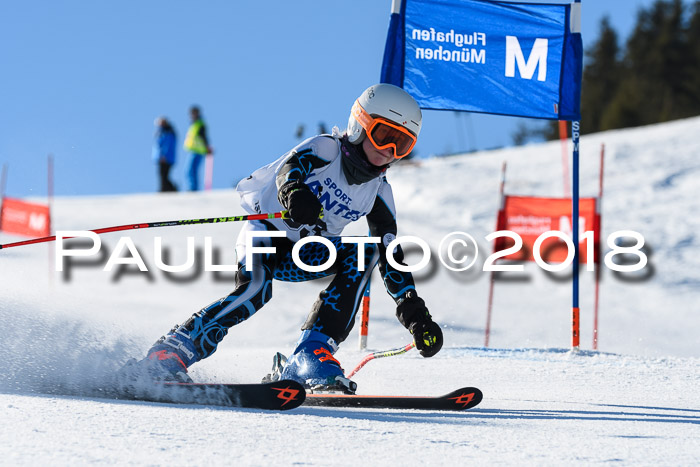 Sechzger und Kids Pokal VRS 13.01.2018