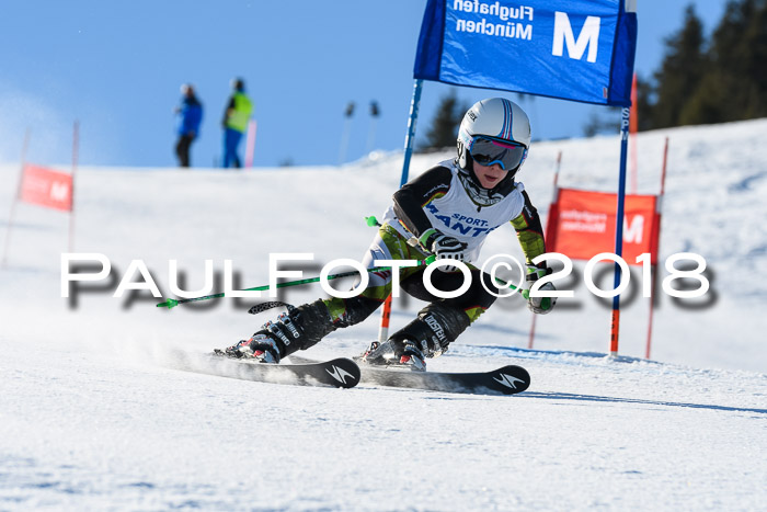 Sechzger und Kids Pokal VRS 13.01.2018
