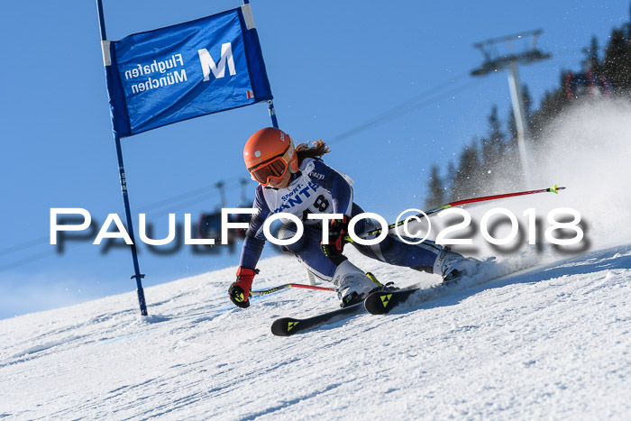 Sechzger und Kids Pokal VRS 13.01.2018