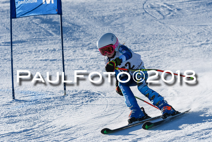 Sechzger und Kids Pokal VRS 13.01.2018