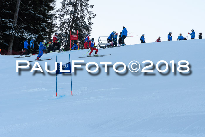 FIS NJC Alpine Kombi Damen + Herren 14.01.2018