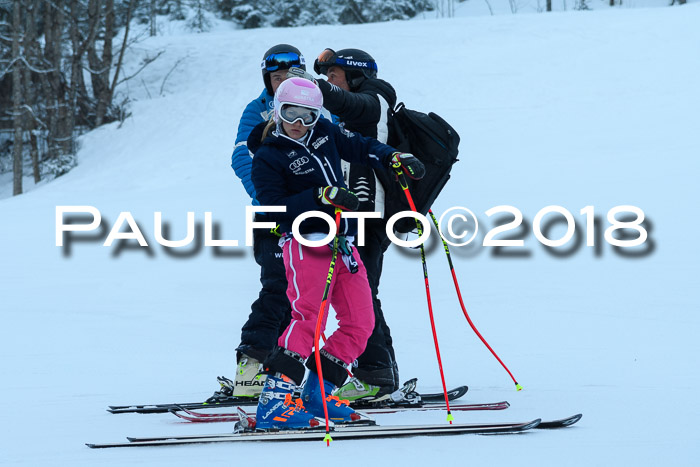 FIS NJC Alpine Kombi Damen + Herren 14.01.2018