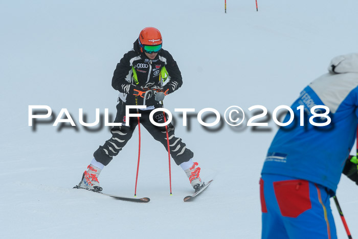 FIS NJC Alpine Kombi Damen + Herren 14.01.2018