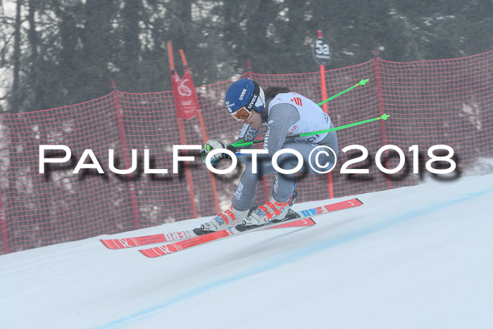 FIS NJC Alpine Kombi Damen + Herren 14.01.2018