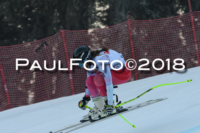 FIS NJC Alpine Kombi Damen + Herren 14.01.2018