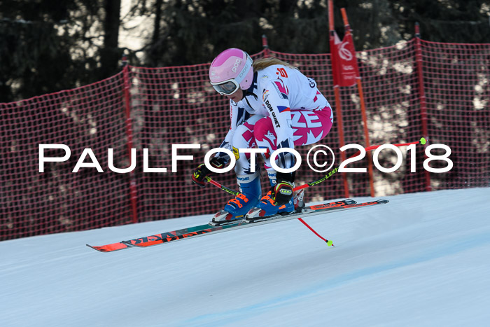 FIS NJC Alpine Kombi Damen + Herren 14.01.2018