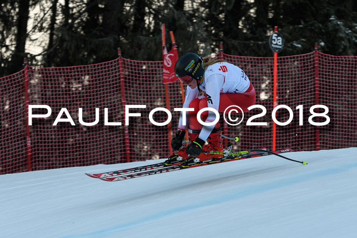 FIS NJC Alpine Kombi Damen + Herren 14.01.2018