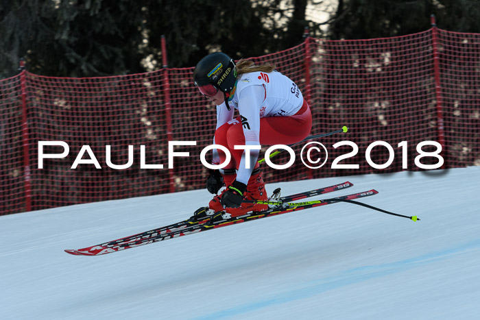 FIS NJC Alpine Kombi Damen + Herren 14.01.2018