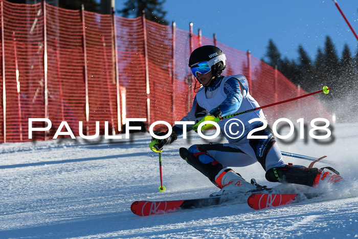 SVM U14/U16 Slalom 14.01.2018