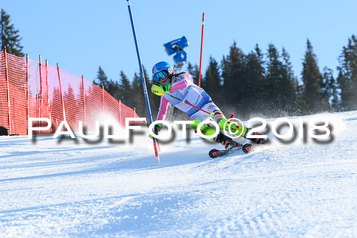 SVM U14/U16 Slalom 14.01.2018