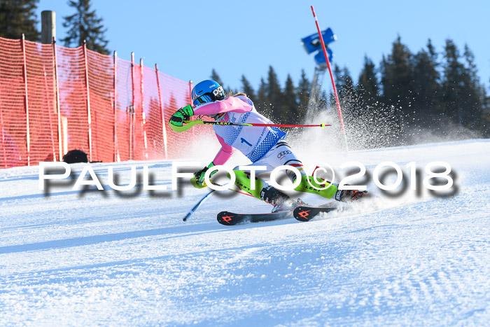 SVM U14/U16 Slalom 14.01.2018