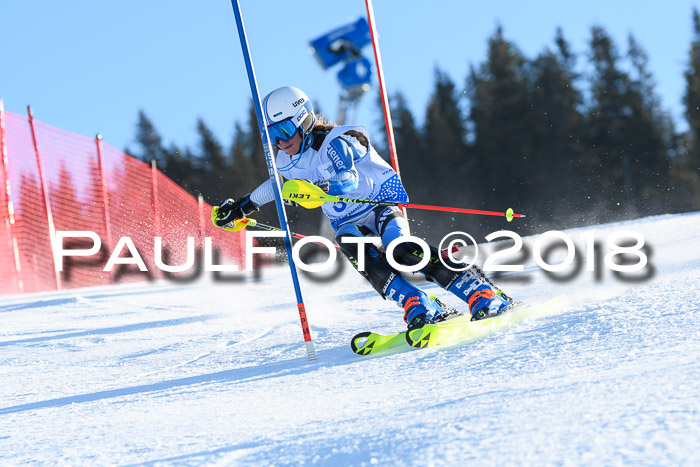 SVM U14/U16 Slalom 14.01.2018