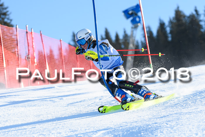 SVM U14/U16 Slalom 14.01.2018