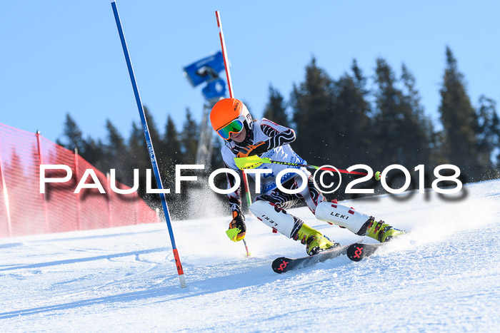 SVM U14/U16 Slalom 14.01.2018