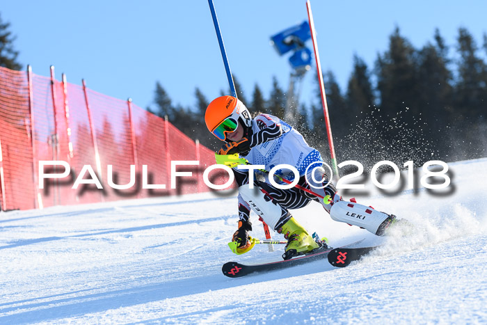 SVM U14/U16 Slalom 14.01.2018