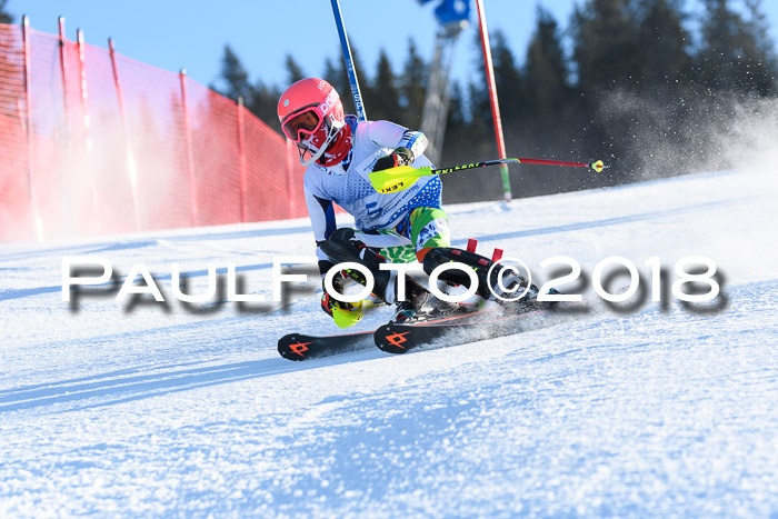 SVM U14/U16 Slalom 14.01.2018