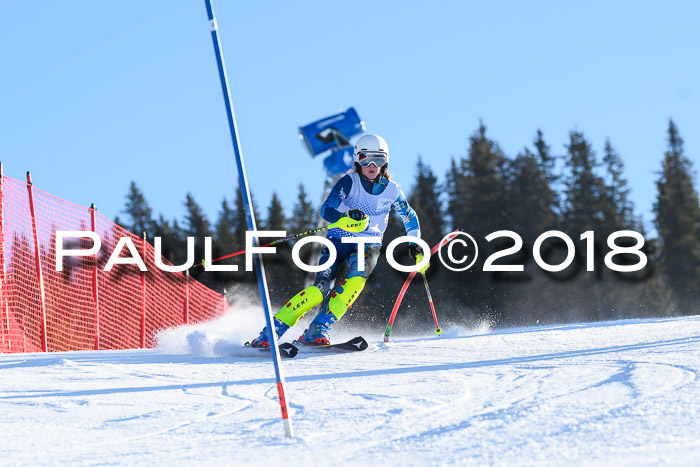 SVM U14/U16 Slalom 14.01.2018