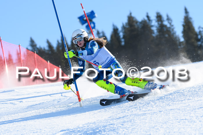 SVM U14/U16 Slalom 14.01.2018