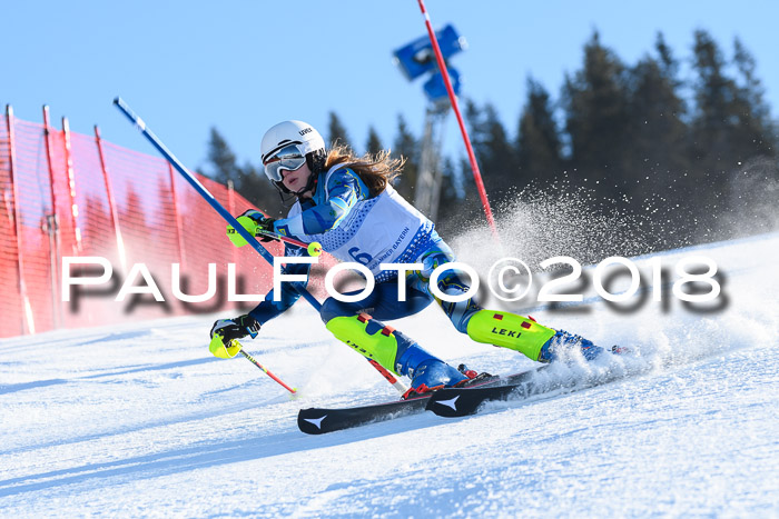 SVM U14/U16 Slalom 14.01.2018