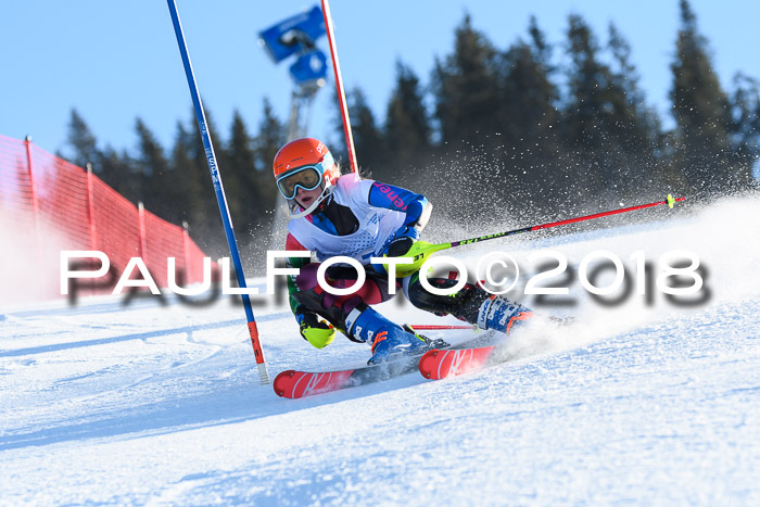 SVM U14/U16 Slalom 14.01.2018